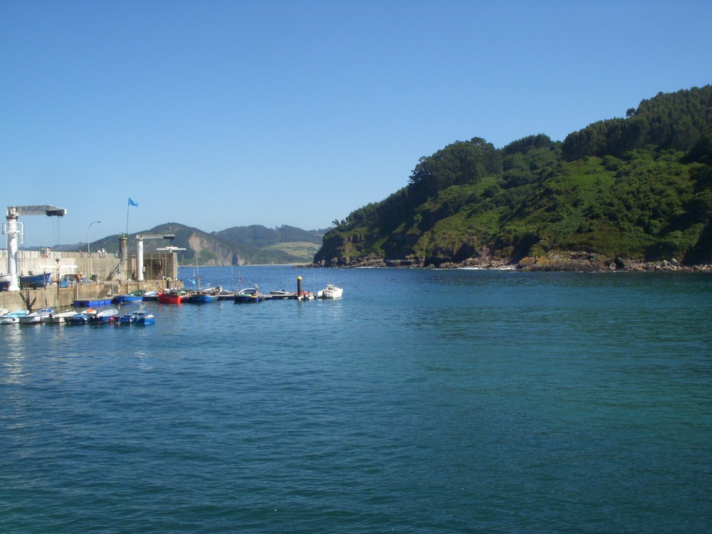 Tazones 